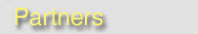 Partners Tab